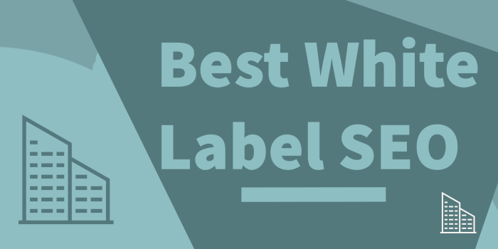 White label services lseo partner