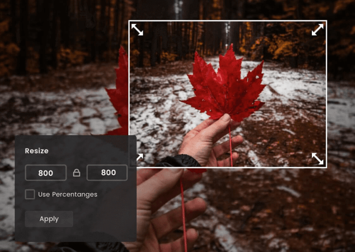 Crop images to specific sizes