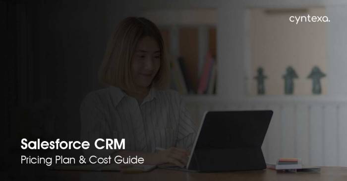 The complete guide to salesforce crm cost understanding the implications for your business