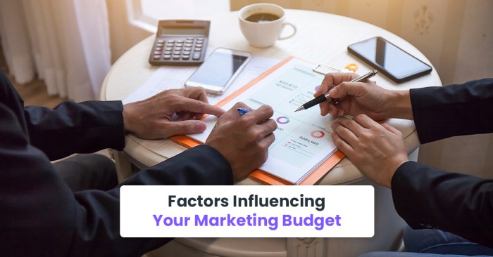 How much should my marketing budget be