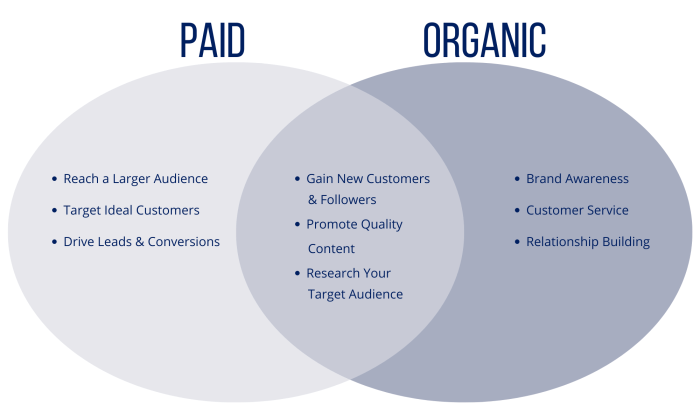 Email vs social vs paid ads how they stack up against each other