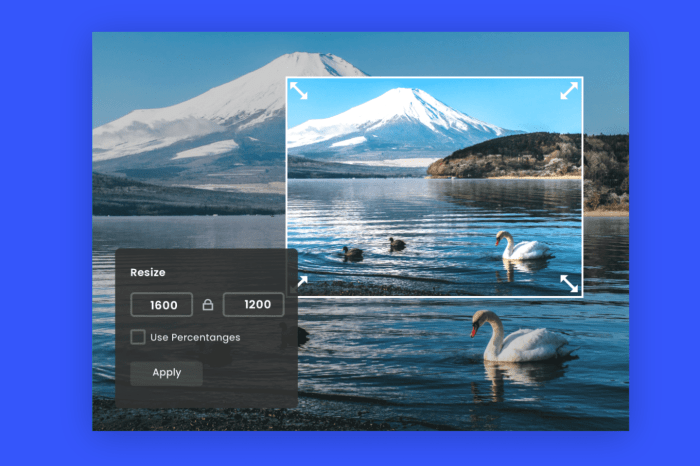 Crop images to specific sizes