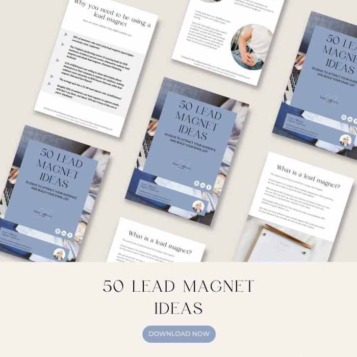 Lead magnet ideas for your website examples