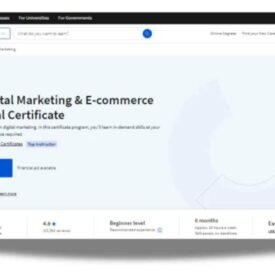 Colibri digital marketing ranks 1 2 and 3 on google for b corp marketing
