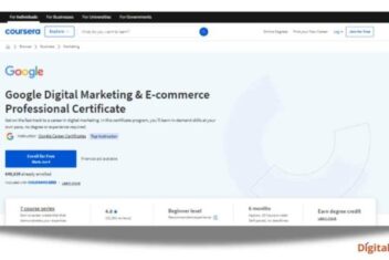 Colibri digital marketing ranks 1 2 and 3 on google for b corp marketing