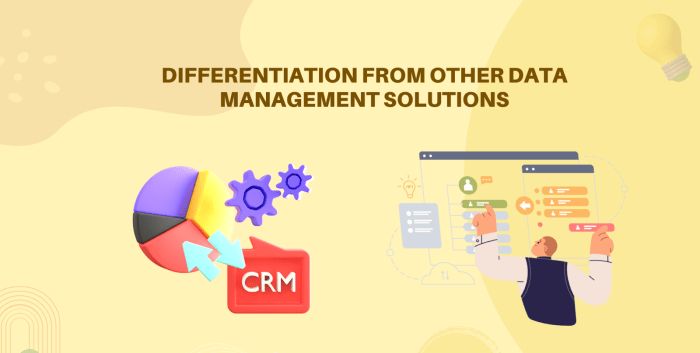 Important role customer data digital marketing