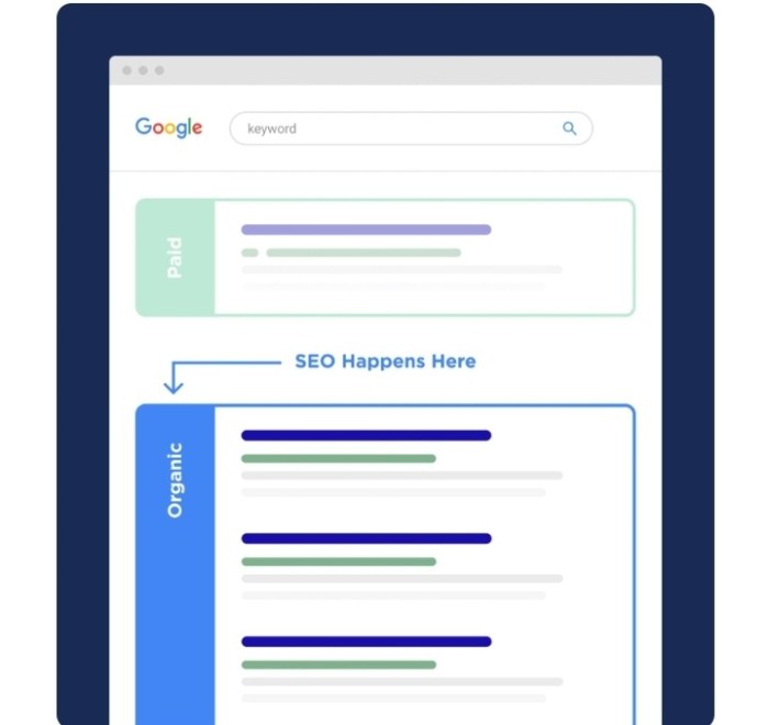 Should you build your site for seo or usability