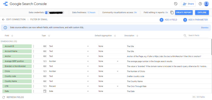 Google data studio seo template