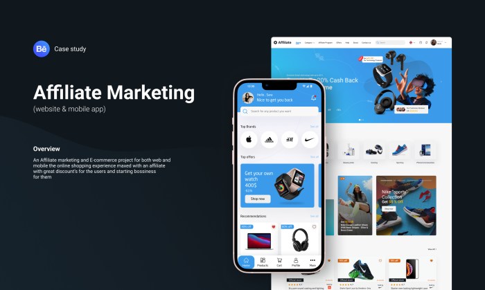 Affiliate networks need use case