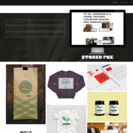 Top 5 website builders for marketing cannabis companies