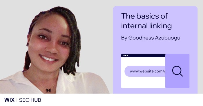 Internal linking 101 seo strategy for optimization