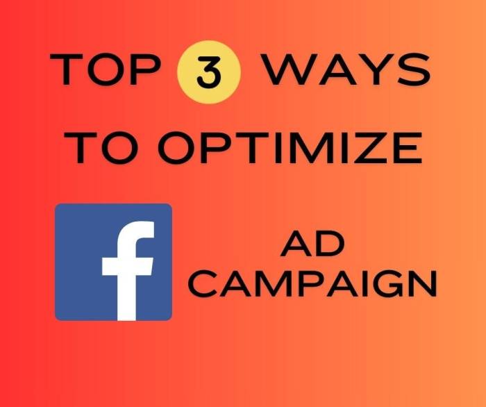 Unbeatable facebook ad campaign