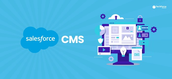 Salesforce content management system