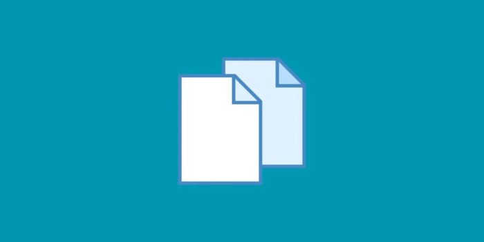 Duplicate content issues the complete guide on how to solve