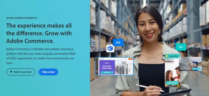 Best adobe commerce alternatives that you should consider