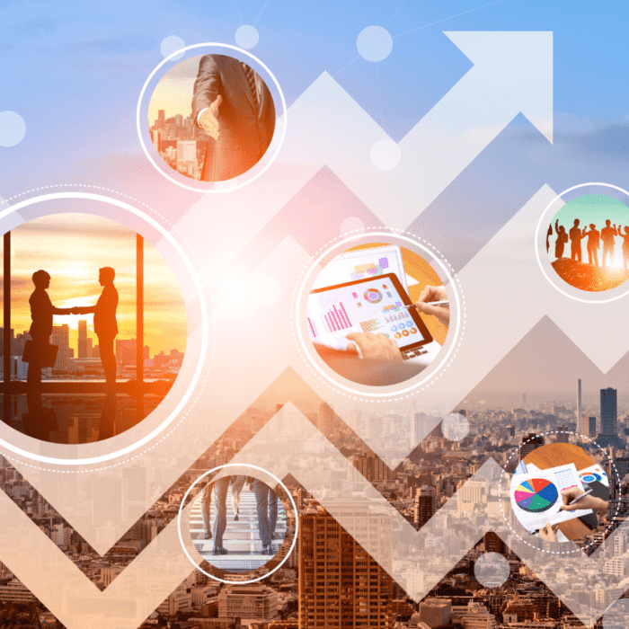Differences between high growth and average growth professional services fi
