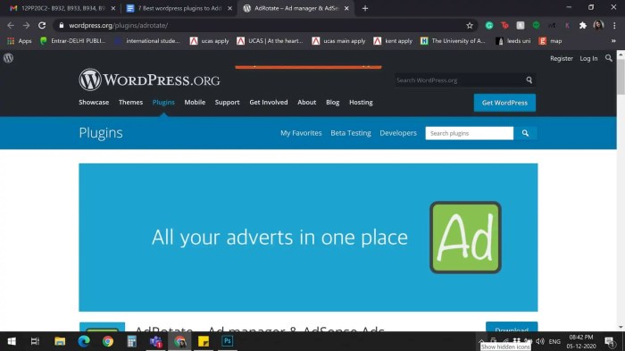 How to offer an ad free version of your wordpress site to subscribers