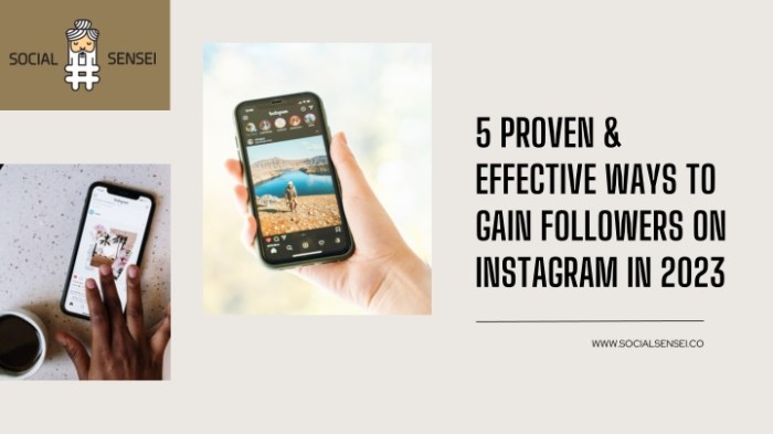 Followers competitors steal instagram how determine step which Steal your competitions followers
