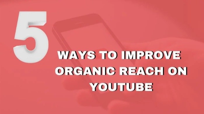 Youtube algorithm organic reach