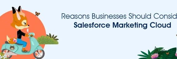 The ultimate guide to salesforce marketing cloud consultants