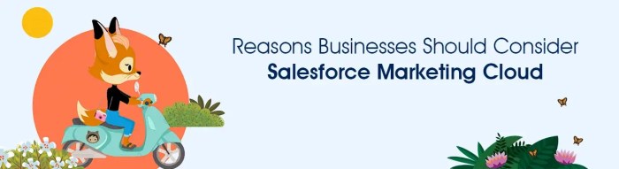 The ultimate guide to salesforce marketing cloud consultants