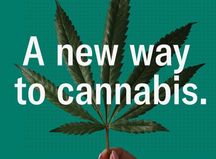 Leafly vs google seo top 5 differences for cannabis advertising