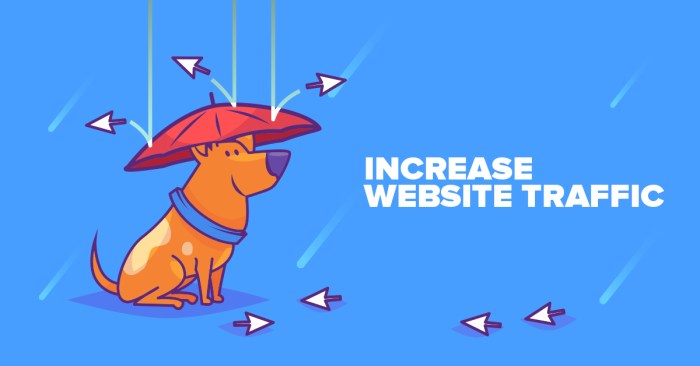 Drive traffic using google image search