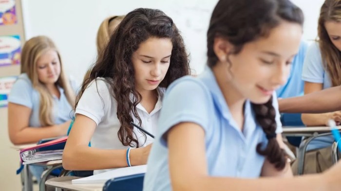 Market research for private schools