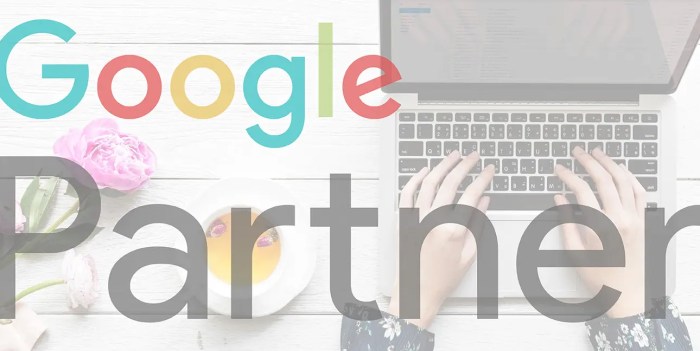 This week in search google my business partners program