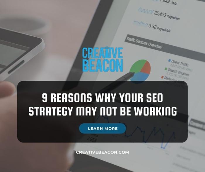 Why you shouldnt always trust seo plugins