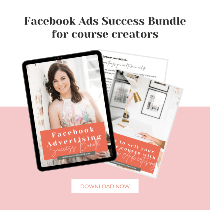 Facebook ads budget how set Spending a lot on facebook ads