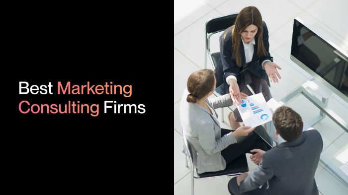 Professional services marketing consultants firms