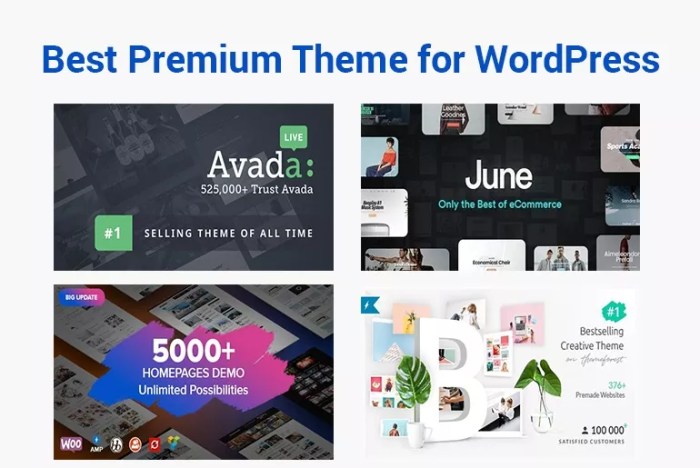 How to choose the best premium wordpress theme for your site