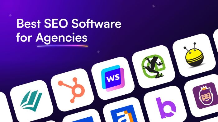 Seo software for agencies