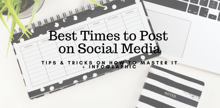 Best time to post on social media for your business
