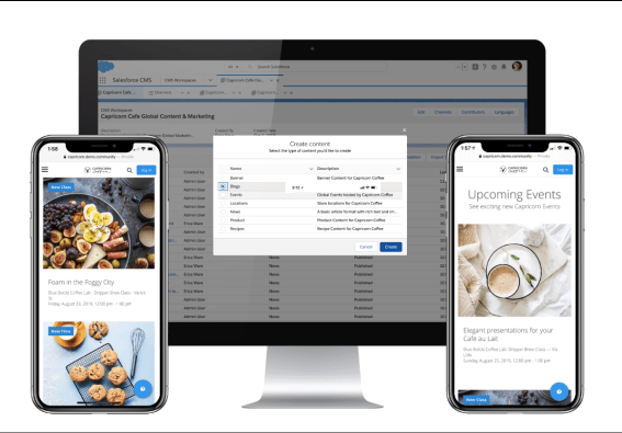 Salesforce content management system