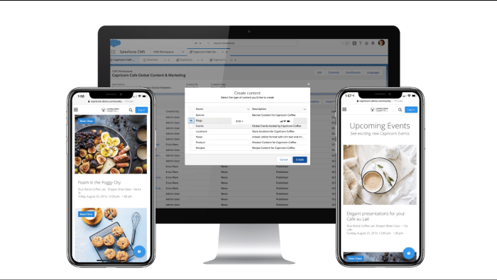 Salesforce content management system