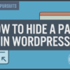 How to hide noindex pdf files in wordpress
