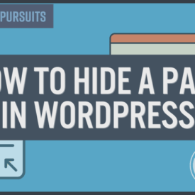 How to hide noindex pdf files in wordpress