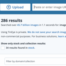 Check non copyright pictures using tineye