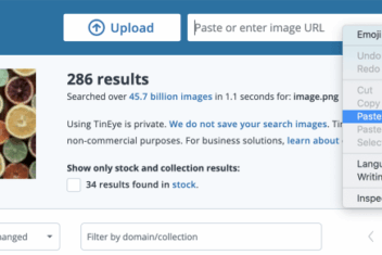 Check non copyright pictures using tineye