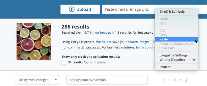 Check non copyright pictures using tineye