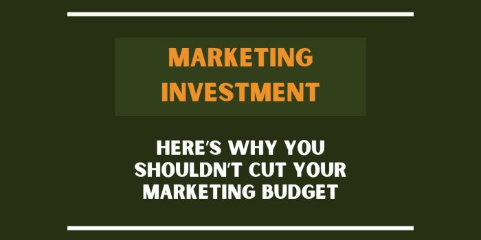 Why you should not cut your marketing budget this year