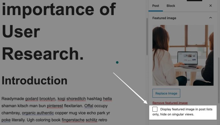 How to hide featured images on individual posts in wordpress