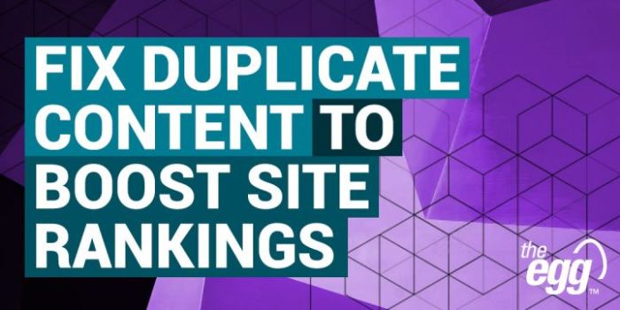 Duplicate content issues the complete guide on how to solve