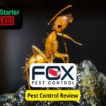 Pest control reviews how to drive growth and build trust