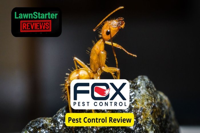 Pest control reviews aptive Pest control reviews how to drive growth and build trust