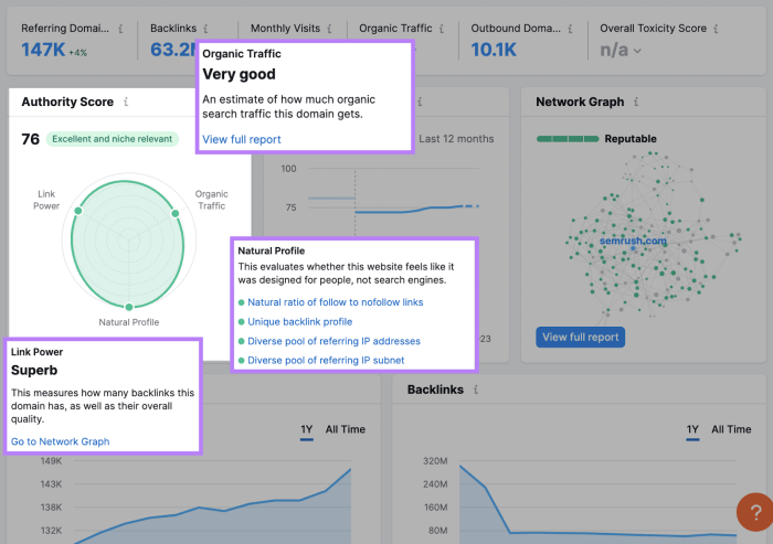 Seo efforts business expectations