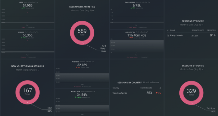 Google analytics custom audience report