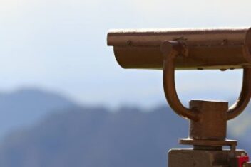 Chart your organic growth with 5 key strategies